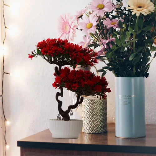 Vista 2 de Yardwe Plantas artificiales, árbol de pino bonsái, planta sintética en maceta, arreglos florales decorativos, decoración de Feng Shui, centros