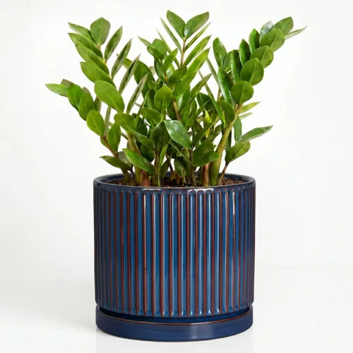 Vista 41 de 8 Inch Flower Pot, Ceramic Planters, Round Plant Pot, Beige