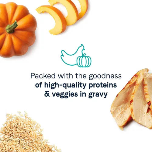 Vista 4 de CANIDAE Balanced Bowl - Alimento húmedo para gatos, pollo y calabaza, 3