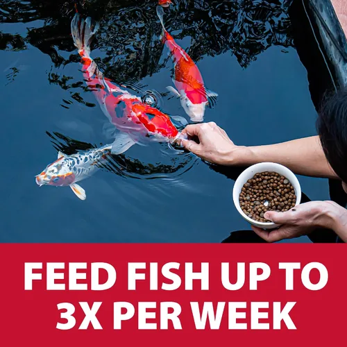 Vista 8 de The Pond Guy Spring & Fall - Alimento para peces con germen de trigo para Koi y Goldfish, pellets flotantes prémium para clima frío, fórmula