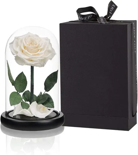 Vista 18 de Rosas preservadas, rosas negras en cúpula de cristal, medianas, flores preservadas para el día de la madre, regalos para mujeres Negro