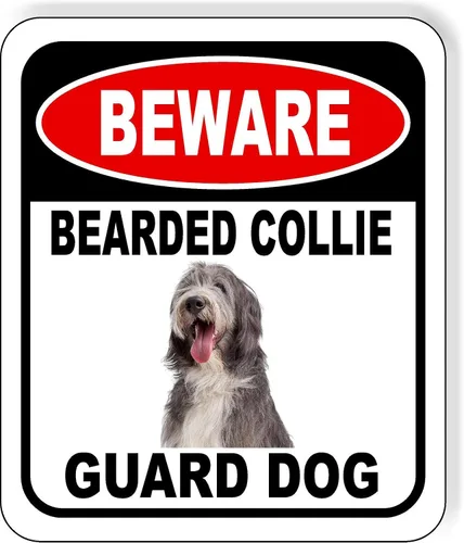 Vista 89 de BEWARE BASSETT HOUND GUARD DOG - Letrero compuesto de aluminio para exteriores, 8.5 x 10 pulgadas CUIDADO BASSETT HOUND GUARD PERRO