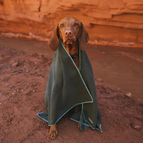 Vista 5 de Wilderdog Bandana para perro con material ligero de malla de mezcla de poliéster de secado rápido en Dakota