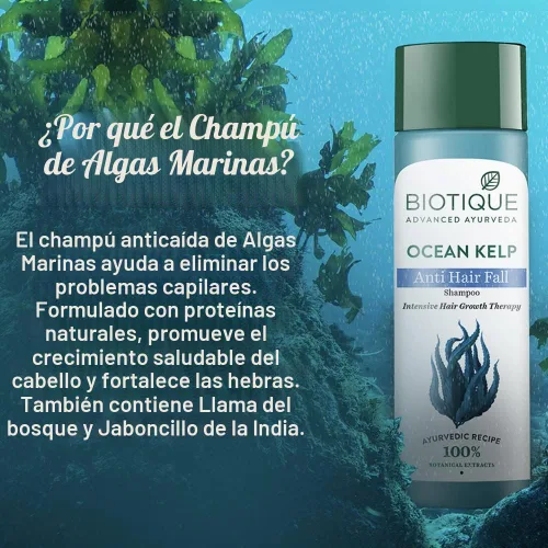 Vista 5 de Biotique Bio Kelp Protein Champú Para Cabello Caído, 6.4 fl oz