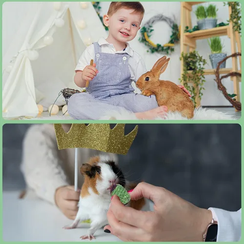 Vista 7 de VESPRO Juguetes de conejo para conejos, juguetes masticables de conejo para dientes, conejito para conejos, cobayas, juguetes para masticar, palitos