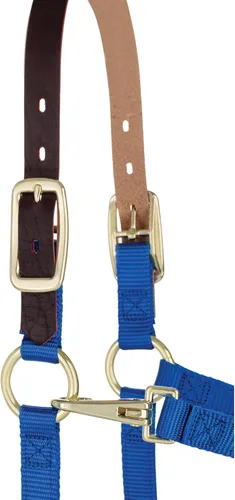 Vista 2 de Weaver Leather Caballo ajustable de nylon Breakaway Halter, azul, destetado/poni