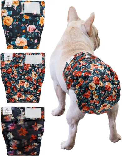 Vista 18 de CuteBone WWD28XS - Pañales lavables para perras, sin agujero para la cola, reutilizables, pantalones de entrenamiento para perritos, con cola