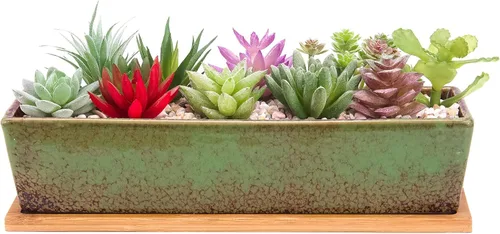 Vista 10 de ARTKETTY Macetas de suculentas - Macetas grandes para suculentas con drenaje, maceta de bonsái rectangular larga de 12 pulgadas con bandeja