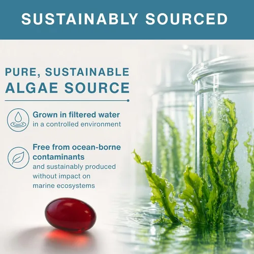 Vista 4 de Igennus - Aceite de algas vegano Omega-3, certificado por la IAOS, 400 mg de DHA y 200 mg de EPA por porción, forma de triglicéridos, apoya la salud