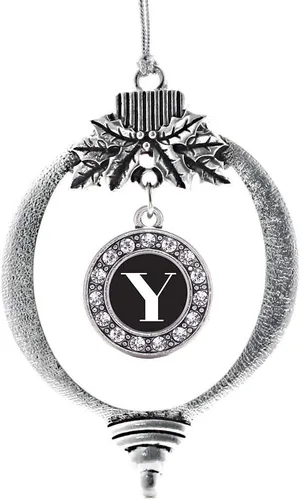 Vista 119 de Inspired Silver - Adorno de cromosoma 21 con dije de círculo de plata con joyas de circonita cúbica