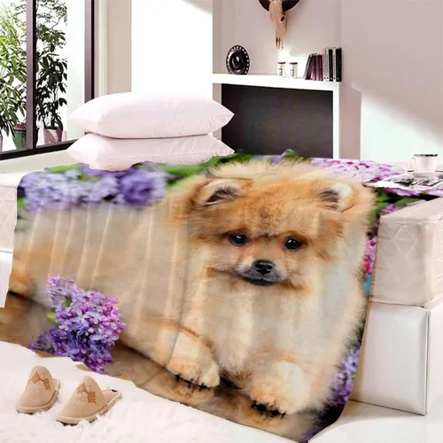 Vista 3 de Mantas de forro polar Pomeranian – Manta de bebé para niñas y niños – Manta de franela ligera para cama, cuna, cochecito – 30 x 40 pulgadas