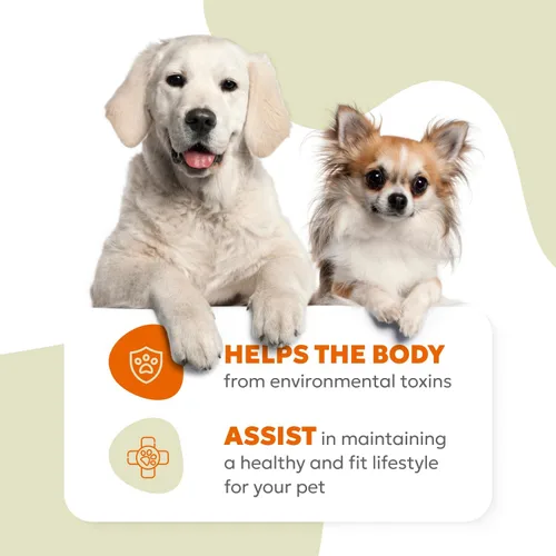 Vista 7 de Masticables suaves 10 en 1 para perros, apoyo avanzado para articulaciones, digestión, inmunidad, piel y pelaje, energía, músculos, huesos