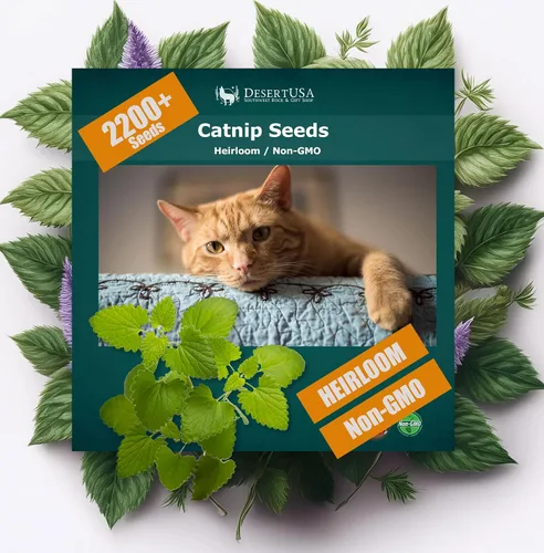 Vista 7 de Semillas de hierba gatera para plantar, más de 4400 hierbas, cultivo en interiores o exteriores, reliquia, sin OMG, a los gatos les encantan