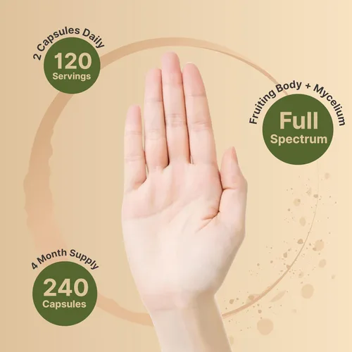 Vista 4 de NatureBell Cápsulas de extracto de hongo de cola de pavo, 600 mg por porción, 240