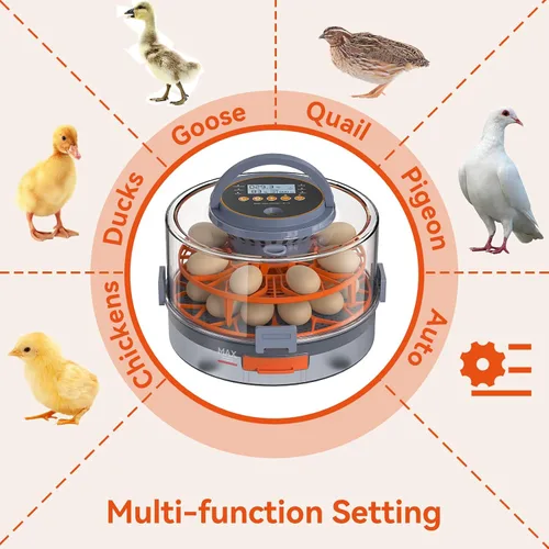 Vista 11 de Incubadora de huevos para incubar 18 huevos con giro automático, sensor de humedad, 5 modos preestablecidos, tapa transparente para observación