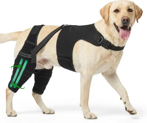 Vista 7 de Rodillera para perro para pierna trasera desgarrada, ajustable para pierna trasera con 7 estabilizadores, reduce el dolor, lesiones de ligamentos