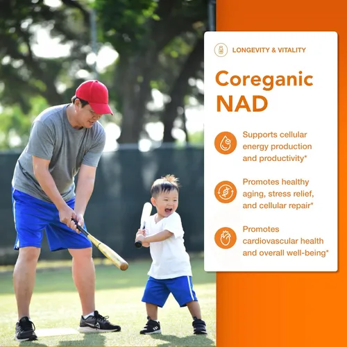 Vista 3 de Apoyo Clean NAD+ – 400 mg de ribósido de nicotinamida (NR) con resveratrol orgánico, ashwagandha y raíz de remolacha – Energía diaria
