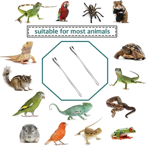 Vista 7 de Cuchara de comida para reptiles, accesorios duraderos para Gecko, polvo de reptil, mezcla de frutas, cuchara de alimentación de alimentos