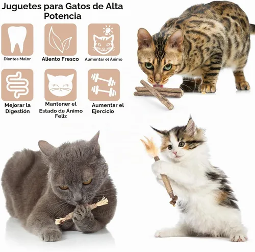 Vista 2 de Bissap 10 palitos masticables Silvervine para gatos, palitos masticables de hierba gatera, juguetes para gatos en interiores, dientes de gatitos