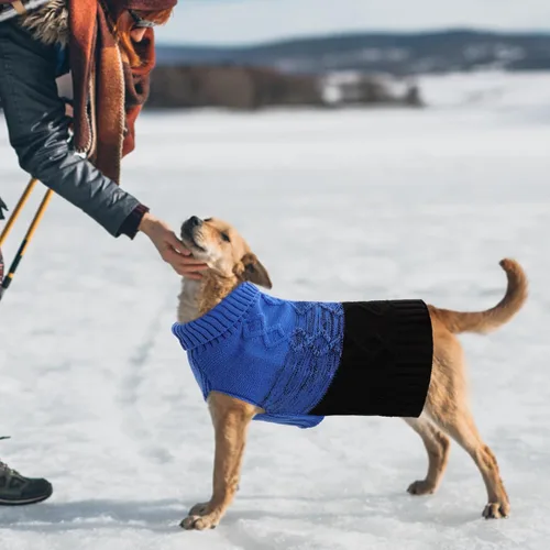 Vista 5 de ASENKU Suéter cálido para perros pequeños y medianos, suéteres para mascotas para ropa de perro en otoño e invierno, suéter grueso con cuello Azul
