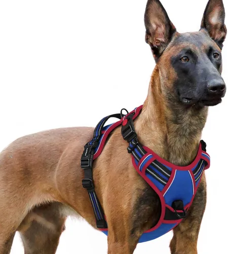 Vista 77 de Rabbitgoo - Arnés para perro de tamaño pequeño, arnés para mascotas sin tirones con 3 hebillas, chaleco acolchado suave ajustable con mango