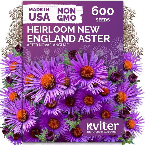 Vista 23 de KVITER 15,000 semillas de rosa musgo mixta para plantar (Portulaca grandiflora) – Cubierta de suelo con floración de reliquia, semilla de Portulaca