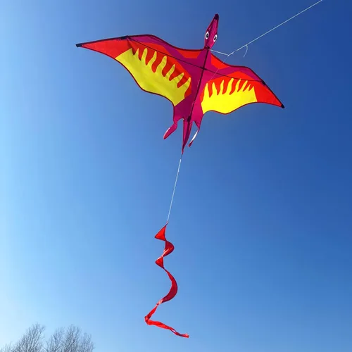 Vista 7 de HENGDA KITE Paquete de 2 cometas de dragón para niños y adultos, cometa