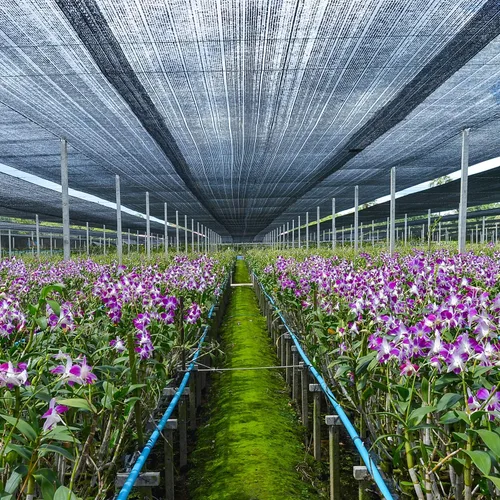 Vista 9 de Keten Tela de Sombra para Jardín 40%, Lona de Malla HDPE de 10x12 Pies con Ojales Mejorados, Sombras Solares Exteriores Resistentes a UV