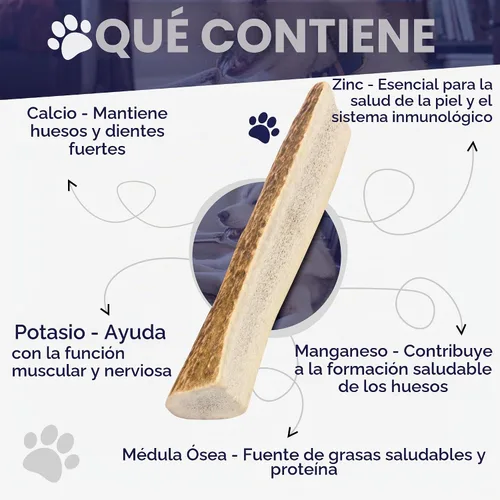 Vista 6 de Devil Dog Pet Co. Cuernos de alce divididos para perros, masticables naturales para perros con médula expuesta, larga duración y sin olor
