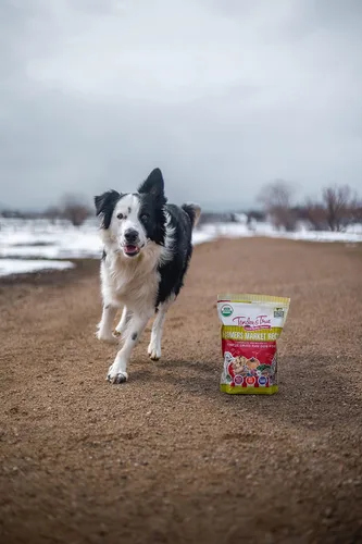 Vista 2 de Tender & True Pet Nutrition Farmers Market Recipe Alimento crudo congelado para perros, 1 libra