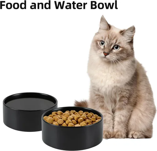 Vista 5 de Havniva Juego de 2 cuencos de cerámica de 5.1 pulgadas para perros y gatos, alimentador de alimentos y agua para perros de raza pequeña, gatitos