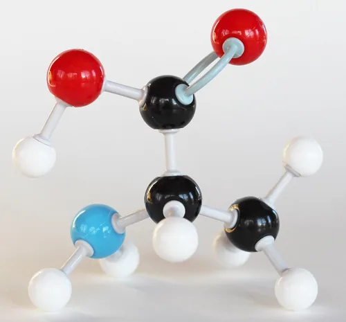 Vista 4 de Kit de estudiante modelo molecular de química orgánica (88 átomos y 140 partes de enlace) - MM-004
