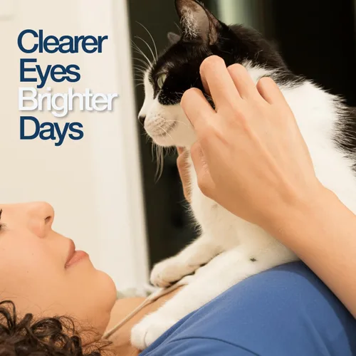 Vista 10 de Felisyl Gel de L-lisina para gatos y gatitos (5 onzas) – Sistema inmunológico, respiratorio y apoyo para la salud ocular. Reduce los estornudos