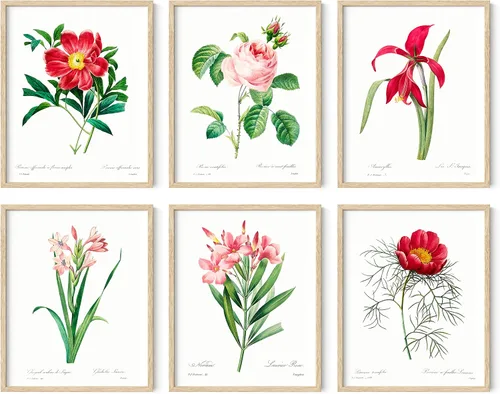 Vista 17 de HAUS AND HUES Pósteres florales y de plantas, juego de 6 impresiones botánicas, arte de pared de flores y plantas, decoración botánica