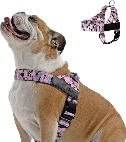Vista 7 de Arnés para perro Dog Friendly Co Correas resistentes a rozaduras, cuello y pecho ajustables, y anillo en D resistente Resistente, cómodo, fácil