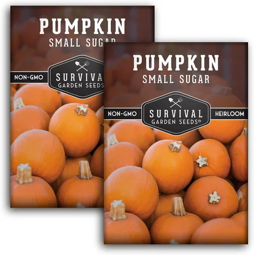 Vista 10 de Survival Garden Seeds - Semillas pequeñas de calabaza de azúcar para plantar - 1 paquete con instrucciones para cultivar calabazas de pastel