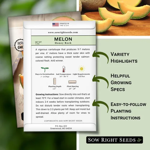 Vista 2 de Sow Right Seeds - Semillas de melón Honey Rock para plantar - Paquete de reliquia sin OMG con instrucciones para plantar un huerto casero - Cultiva