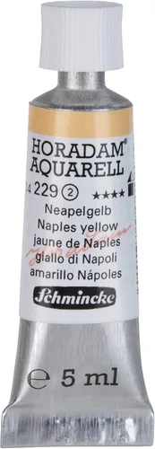 Vista 231 de Schmincke HORADAM AQUARELL ONETZ 0.2 fl oz,l 14031001 031 ONETZ