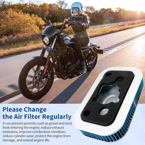 Vista 4 de Filtro de aire 29036-88B 29331-96 compatible con Harley Sportster 1200 883 Custom Sport Anniversary XLH1200 XL1200C XL1200S XLH1200S XLH1200 XLH883