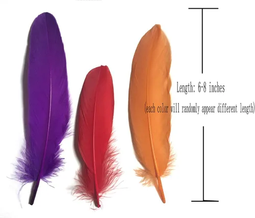 Vista 3 de Plumas de ganso de colores, paquete de 100 unidades de 10