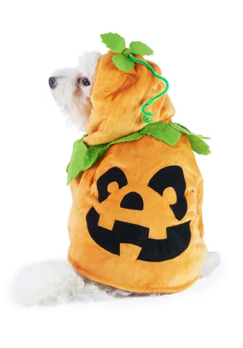Vista 2 de Disfraz de Calabaza para Mascotas Multicolor