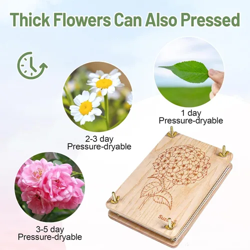 Vista 5 de Suziko Kit de prensa de flores grande para adultos y niños, 10.8 x 6.9 pulgadas, kit de preservación de plantas de flores, arte y manualidades