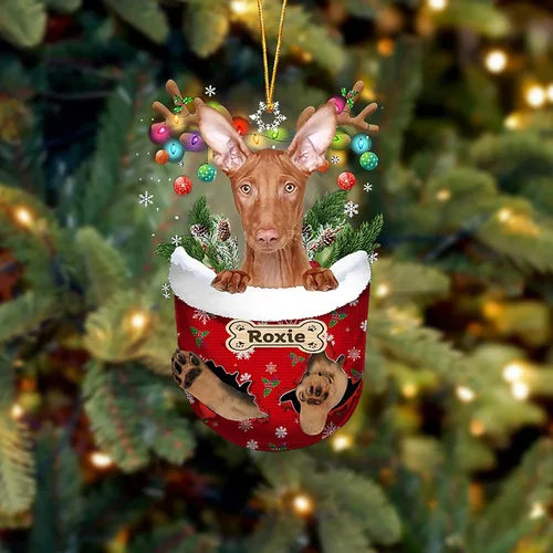 Vista 180 de LOVELYPOD Adorno Personalizado de Perro Affenpinscher, Adornos de Navidad Affenpinscher Regalo para Amante de Perros, Adorno de Navidad Colgante