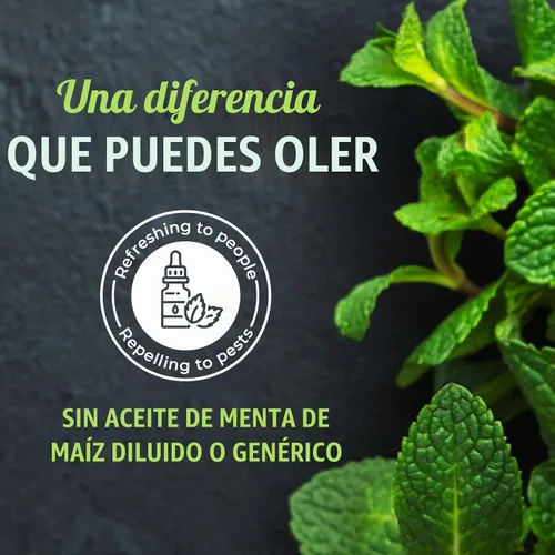 Vista 4 de Mighty Mint Spray Repelente de Roedores de Aceite de Menta con Paño de Microfibra – Control Natural para Interiores y Exteriores para Ratones