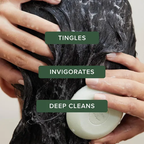 Vista 2 de Tea Tree Champú especial, limpieza profunda, refresca el cuero cabelludo, especialmente el cabello graso, para todo tipo de cabello