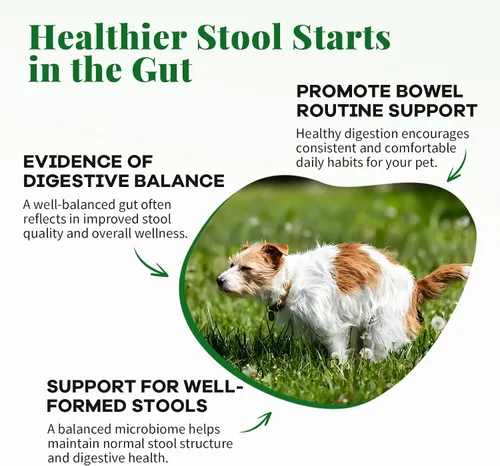 Vista 2 de Probióticos para perros – Probióticos y enzimas para perros – 12 mil millones de UFC 10 cepas, cáscara de psyllium, vinagre de sidra de manzana