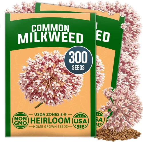Vista 36 de HOME GROWN Semillas de Hollyhock de doble mezcla de Chater, 200 semillas