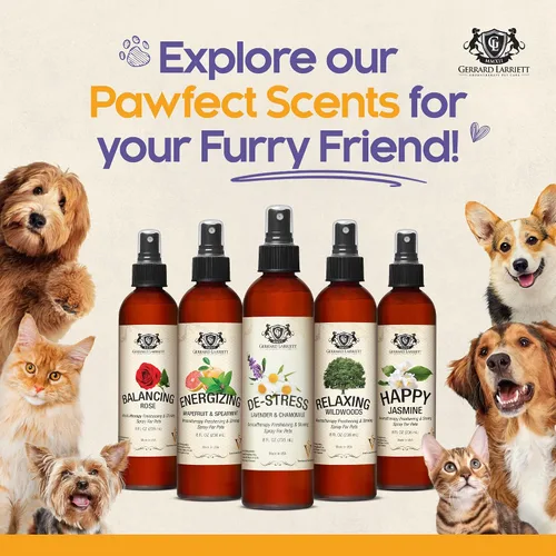 Vista 6 de Aerosol refrescante y brilloso de aromaterapia para mascotas, aerosol para aseo de perros, perfume canino, colonia de perro y eliminador de olor