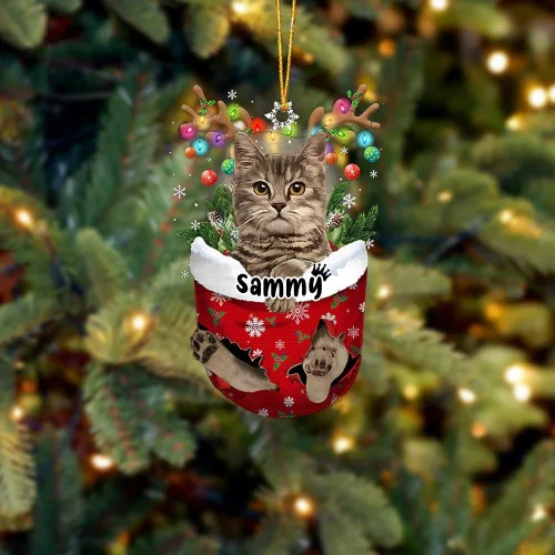 Vista 8 de Adorno personalizado de gato de rizo americano, adorno personalizado con nombre de mascota, colgante acrílico plano impreso en 2D, Papá Noel y gato