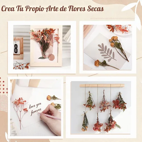 Vista 7 de Flores secas Ovveroche para decoración boho DIY